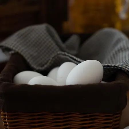 Bed & Breakfast Tuure