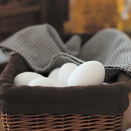 Couette-café Tuure *