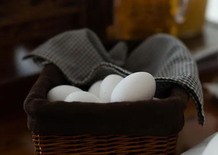 Alojamento de Acomodação e Pequeno-almoço Tuure